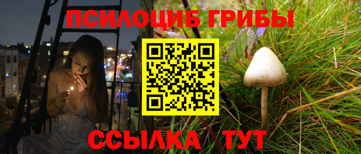 Галлюциногенные грибы мухоморы  Вход с VPN  Узловая  Галлюциногенные грибы Psilocybe 