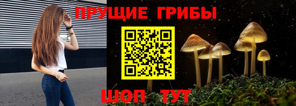 Галлюциногенные грибы Psilocybine cubensis Узловая